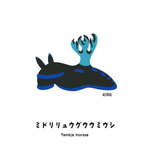 緑っていうか青 ミドリリュウグウウミウシさん Marine Life Log