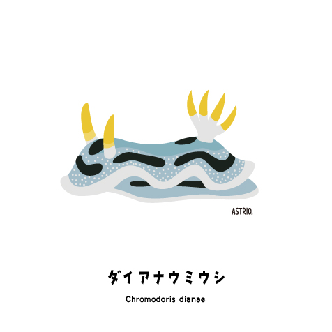 ミゾレさんと似ているダイアナウミウシさん Marine Life Log