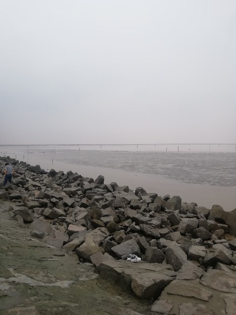 f:id:marinelifelog:20200923142624j:plain f:id:marinelifelog:20200923142624j:plain
