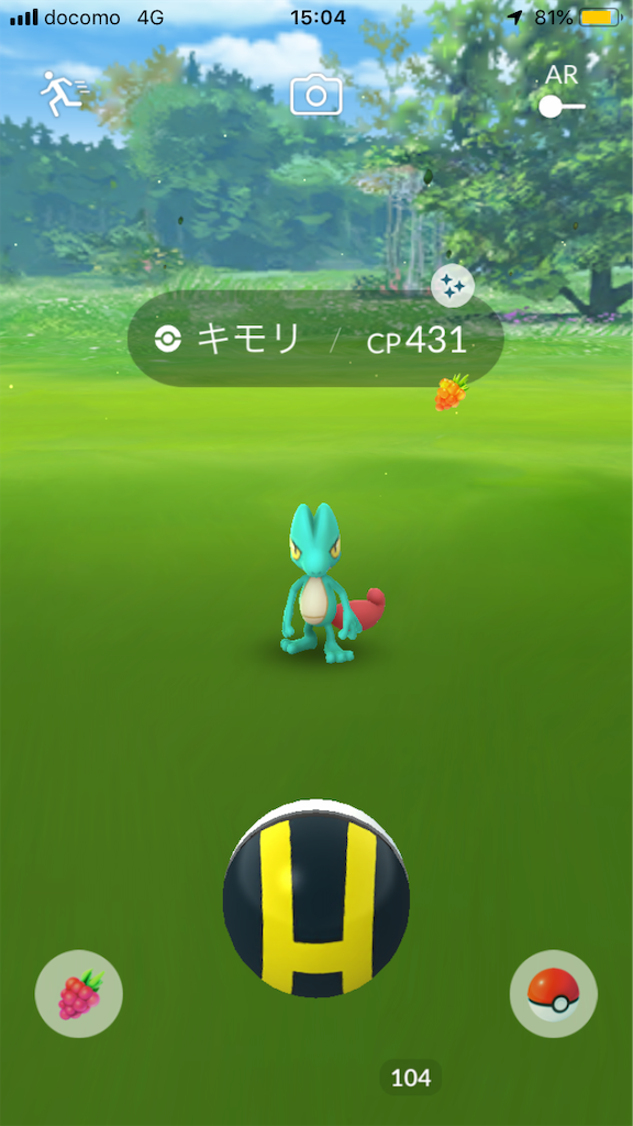 ポケｇｏコミュニティ デイで色違いのキモリでました 犬とポケ森とモンスターボールと読書とか