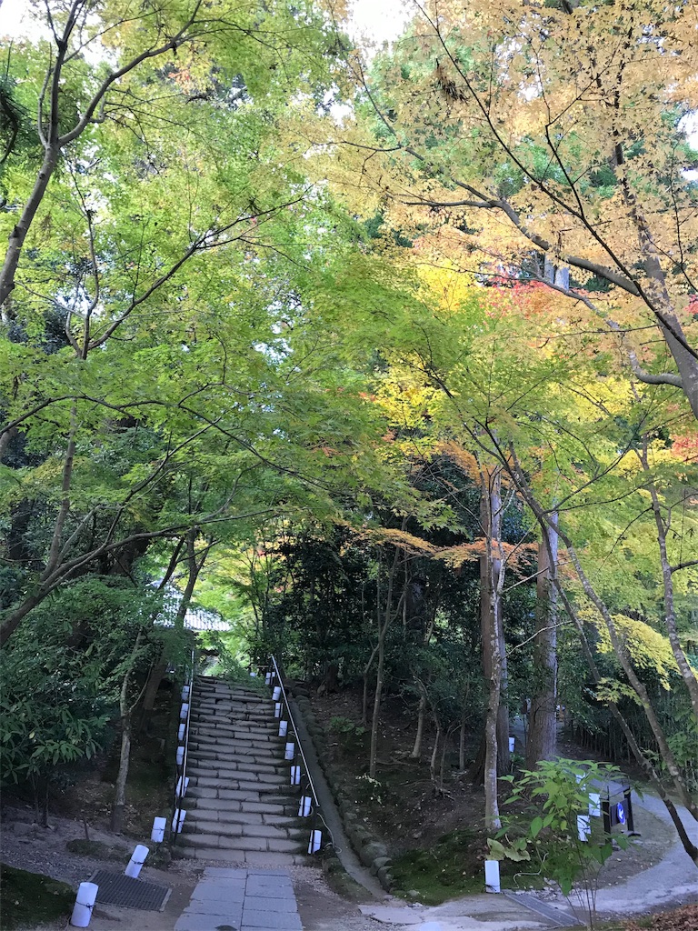f:id:marinote:20191117133251j:image f:id:marinote:20191117133251j:image