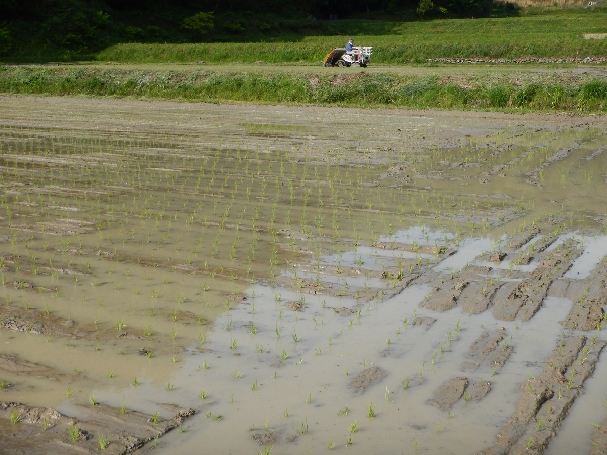 f:id:mario-mariko:20190516153634j:plain