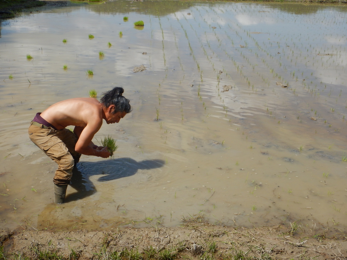 f:id:mario-mariko:20190517100432j:plain