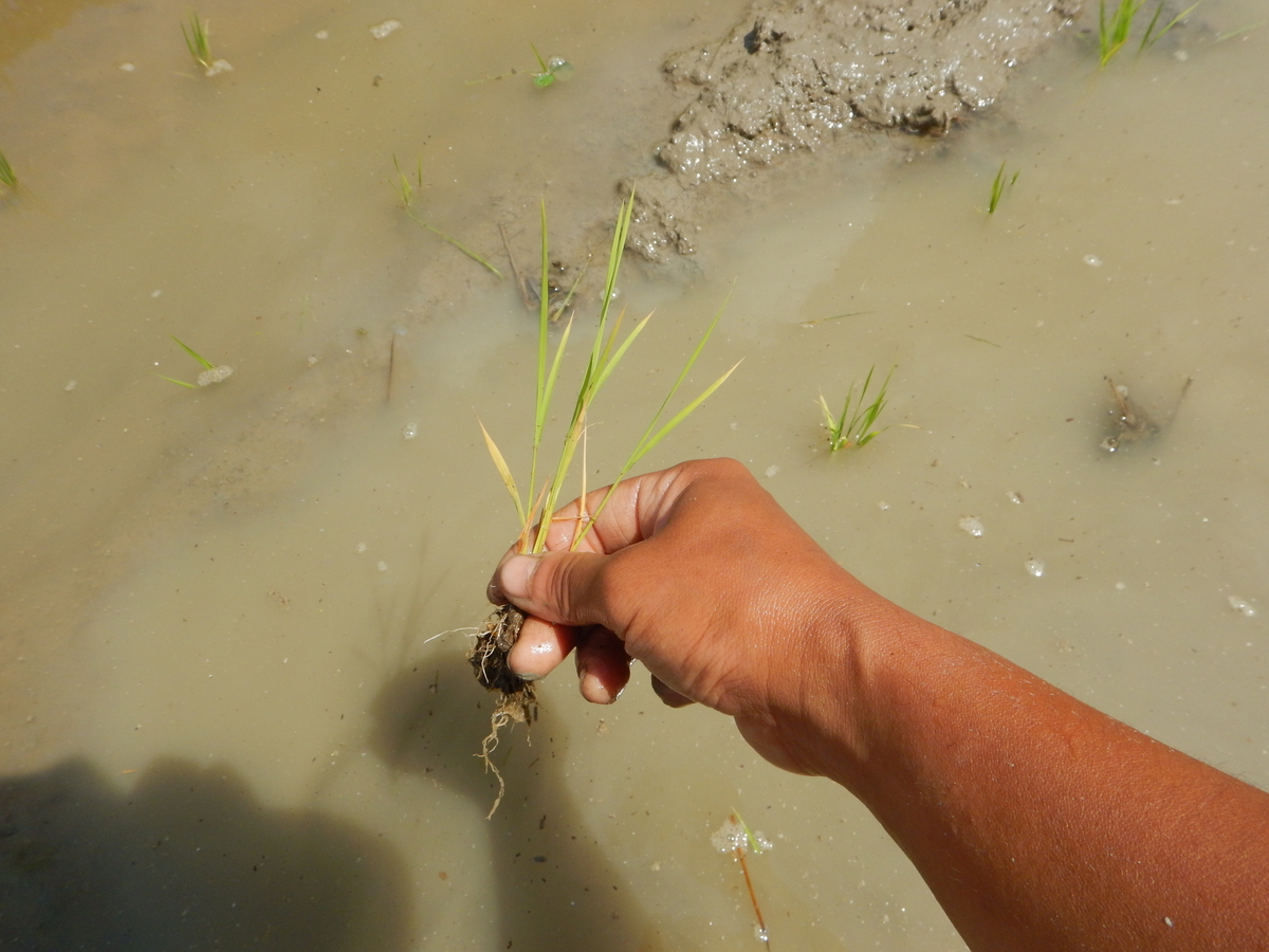 f:id:mario-mariko:20190517101444j:plain