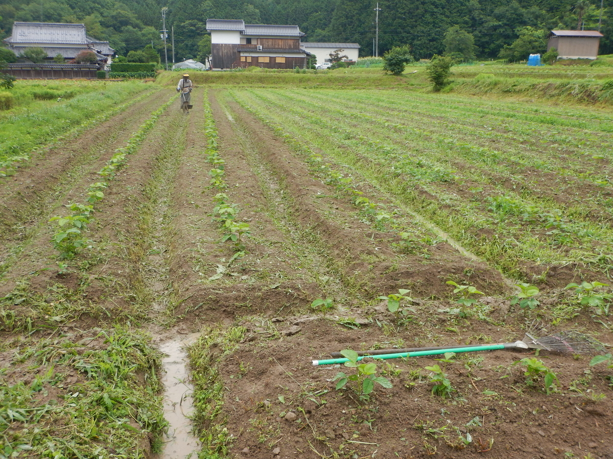 f:id:mario-mariko:20190714130504j:plain