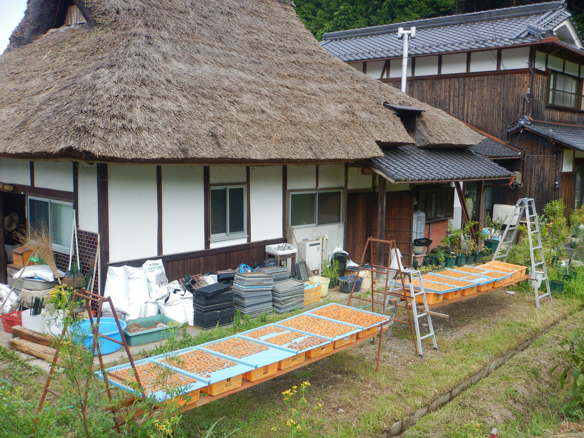 f:id:mario-mariko:20190803132753j:plain