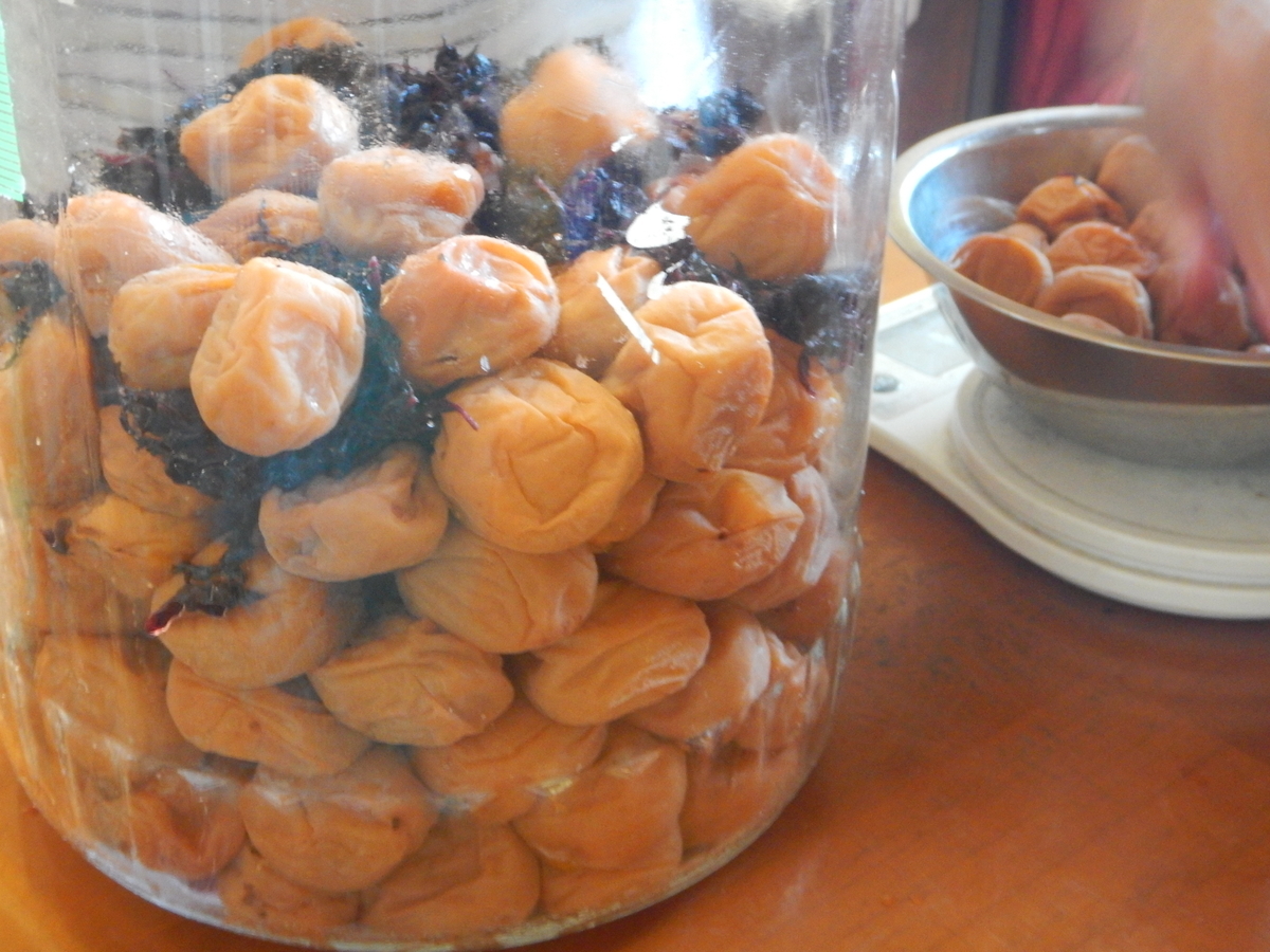 f:id:mario-mariko:20190805173628j:plain