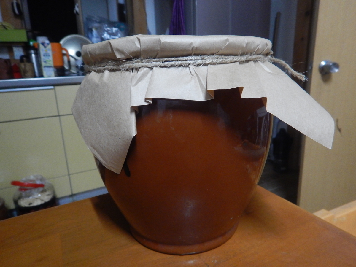 f:id:mario-mariko:20190805212448j:plain