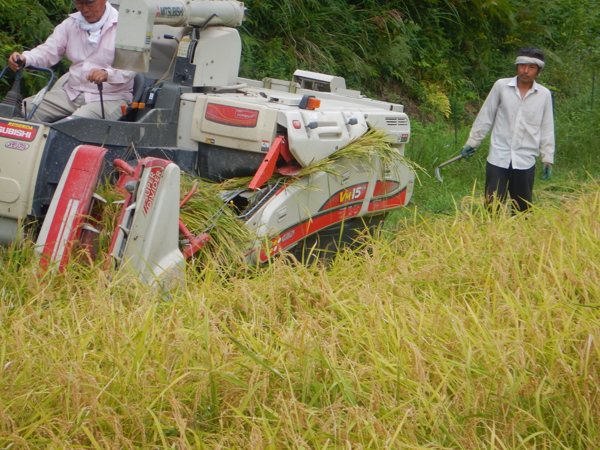 f:id:mario-mariko:20190918150317j:plain f:id:mario-mariko:20190918150317j:plain