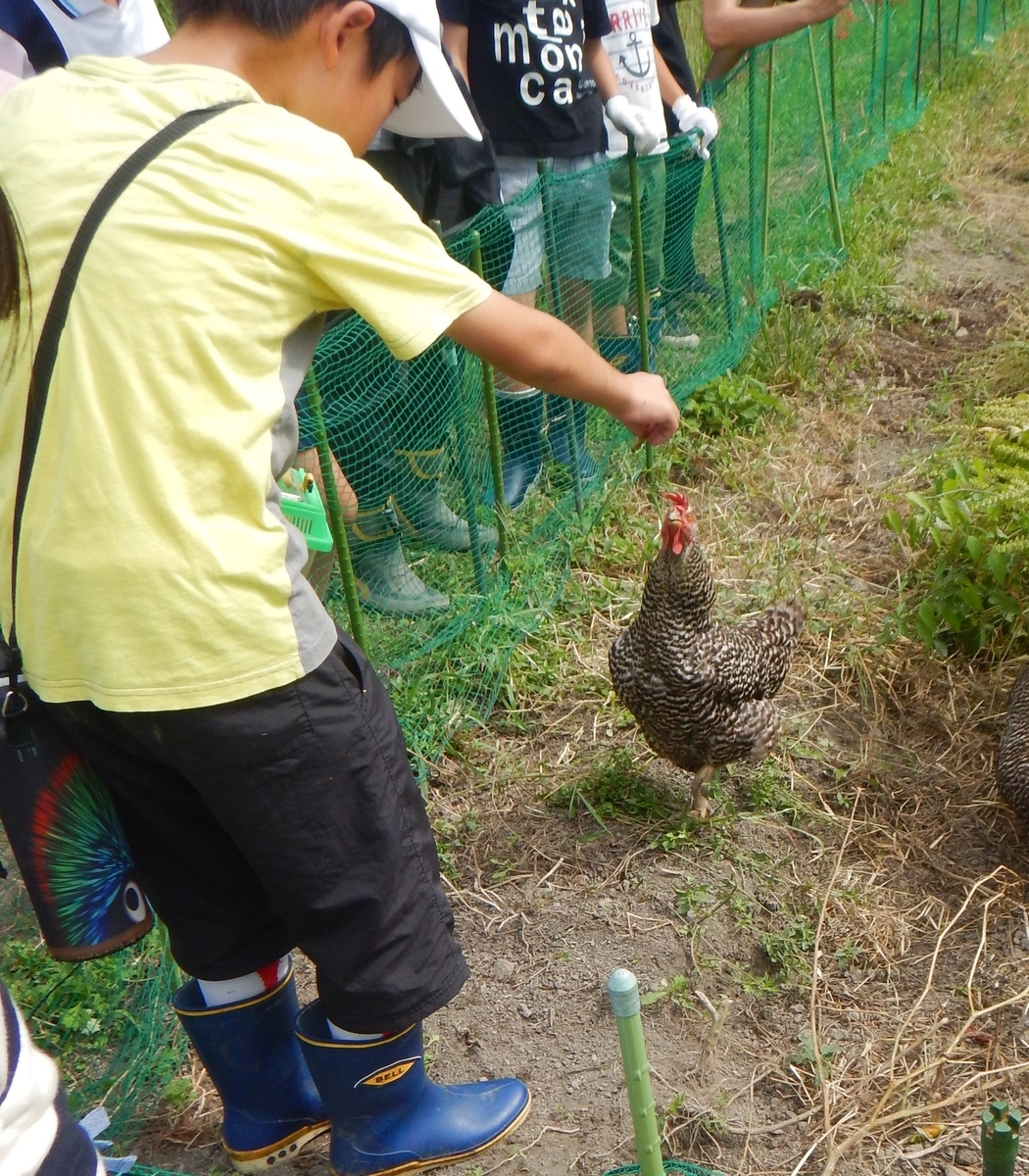 f:id:mario-mariko:20190929110543j:plain