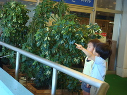 f:id:mario124:20070920120624j:image