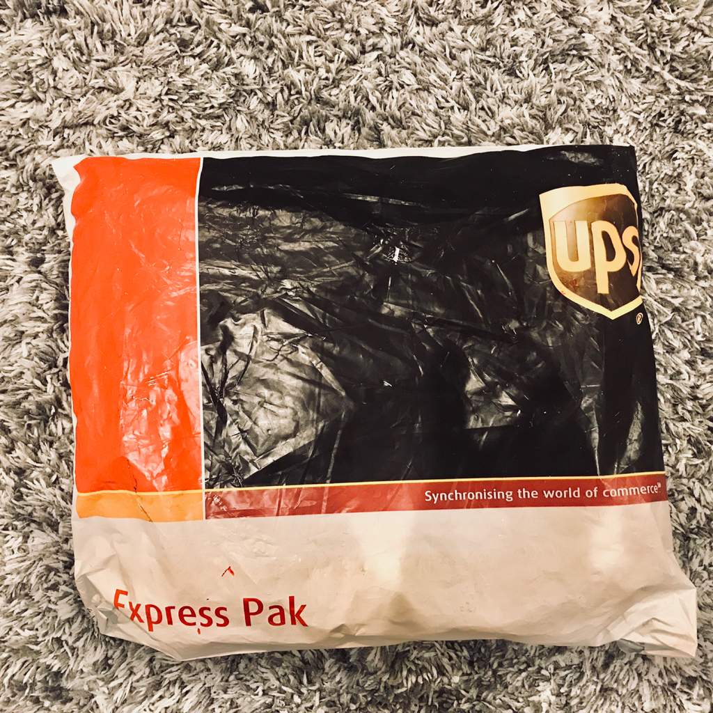 f:id:mariochang:20190205075207j:plain