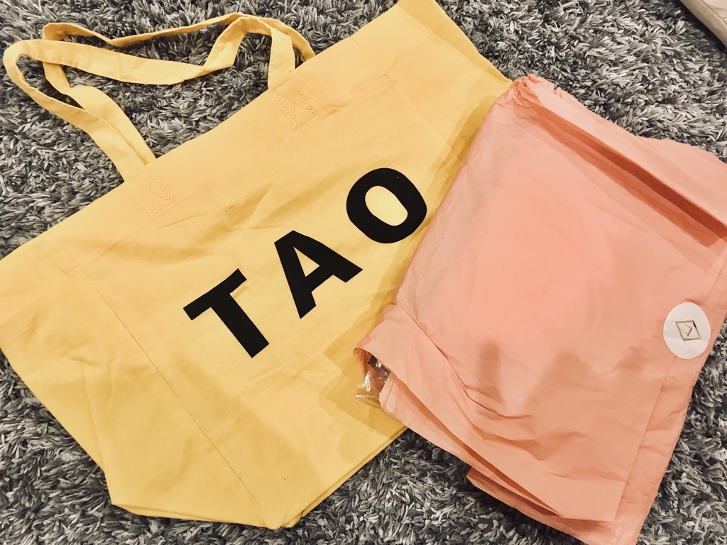 f:id:mariochang:20190205075251j:plain