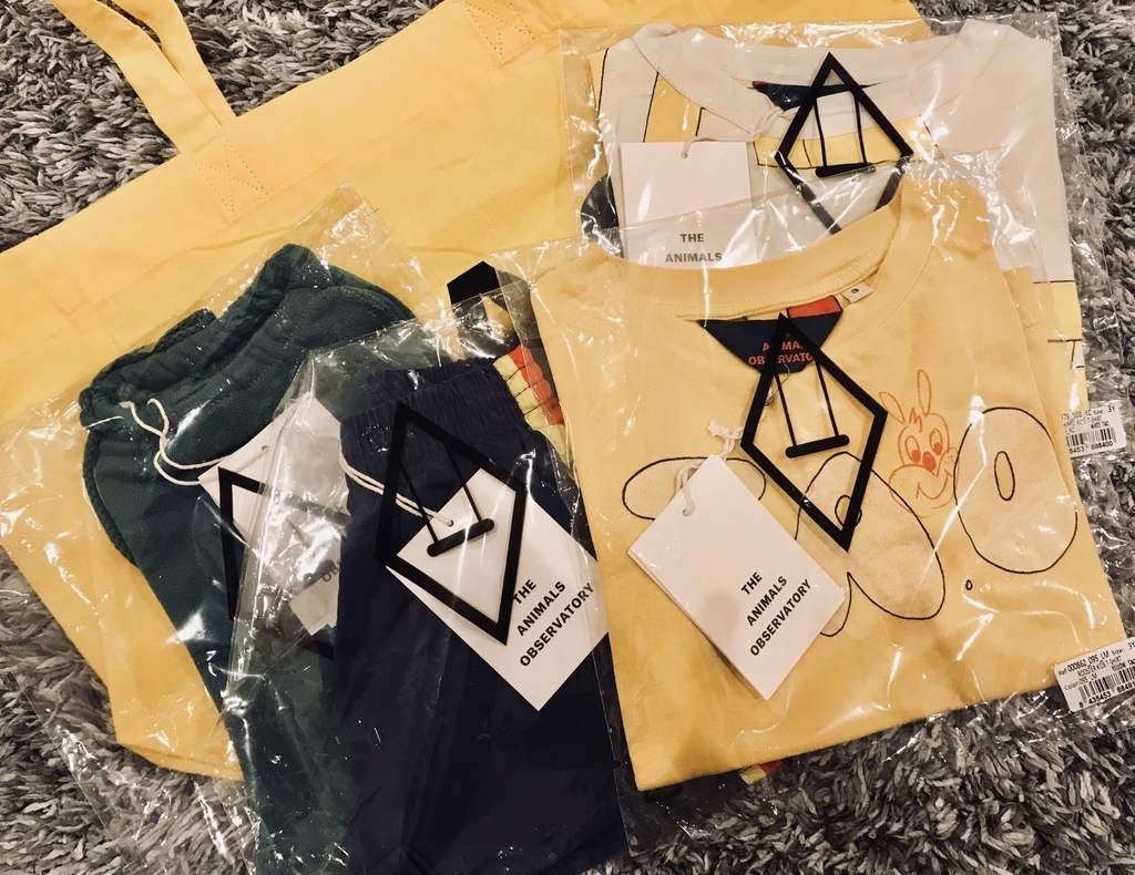 f:id:mariochang:20190205075326j:plain