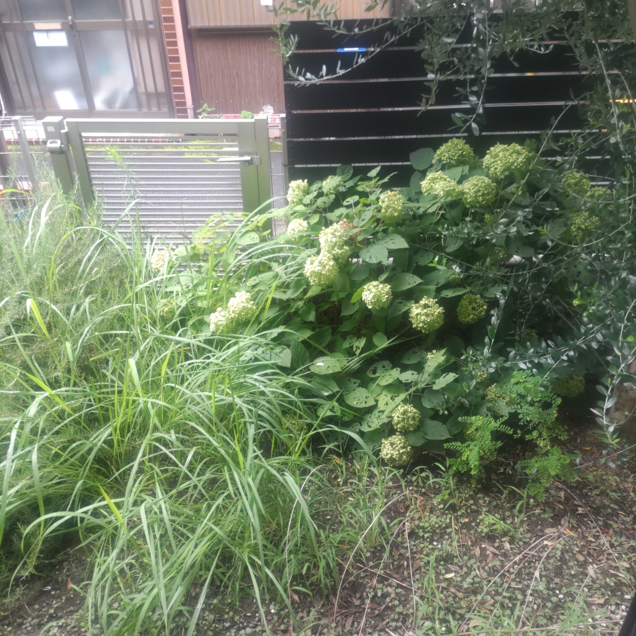 f:id:mariotwins:20260907233916j:image