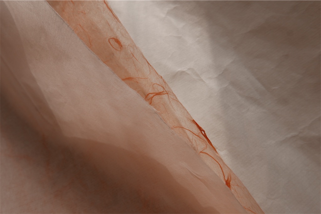 f:id:maripapie:20260614192349j:image f:id:maripapie:20260614192349j:image