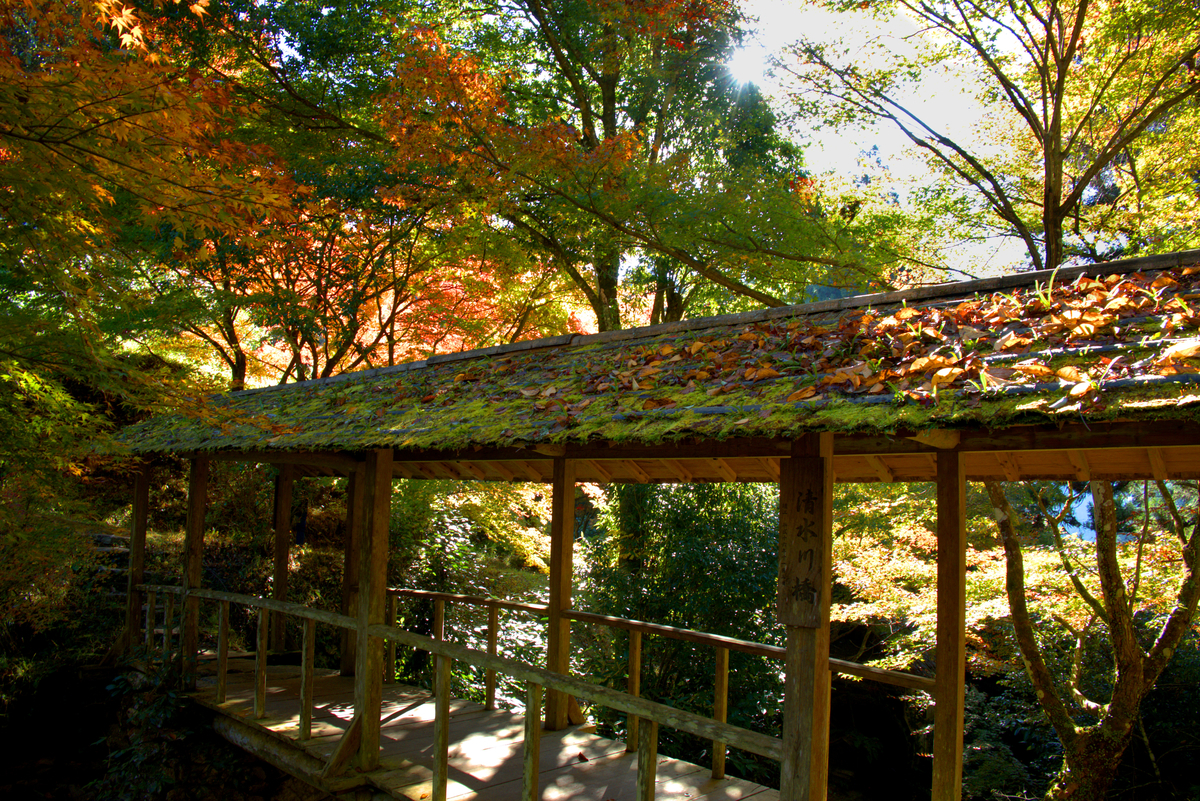 京都の紅葉を見るたびに 行きたい 行きたいと思うばかりなので 地元四国の紅葉を満喫すべし Marippemaririnn S Diary