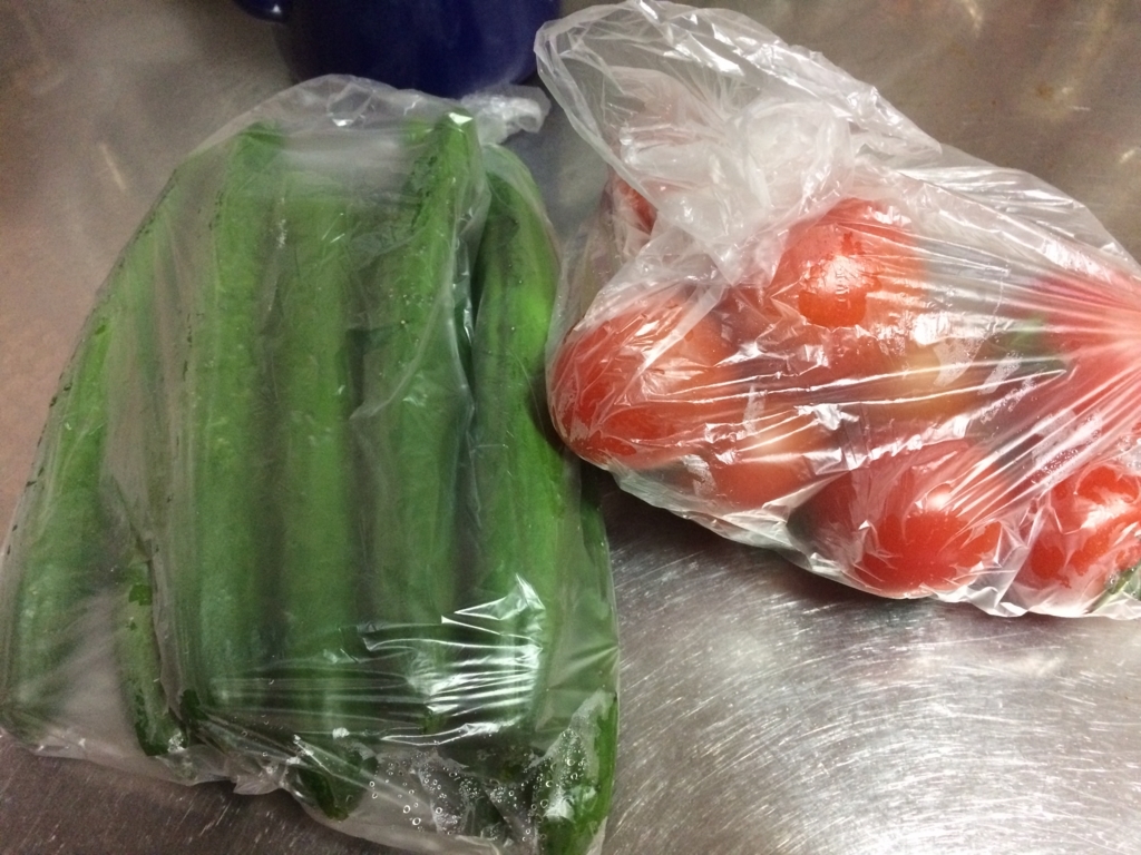 f:id:mariringoo:20180827082724j:plain