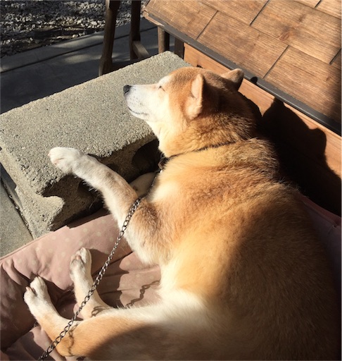 f:id:marishiba:20171122152741j:image f:id:marishiba:20171122152741j:image