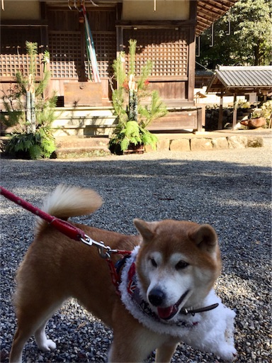 f:id:marishiba:20180107163242j:image f:id:marishiba:20180107163242j:image