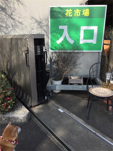 f:id:marishiba:20180202150911j:image f:id:marishiba:20180202150911j:image