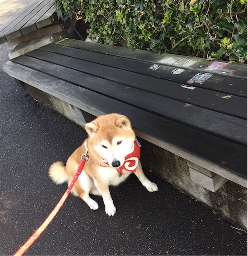 f:id:marishiba:20180202151148j:image f:id:marishiba:20180202151148j:image