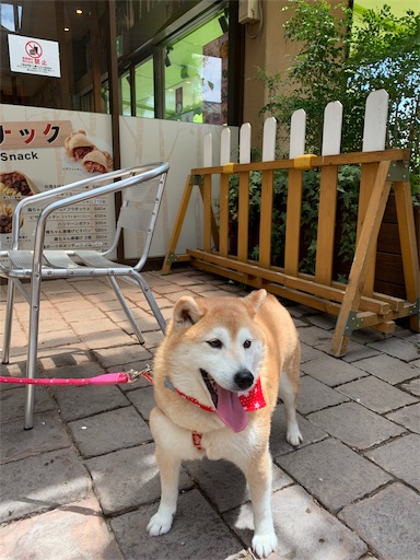 f:id:marishiba:20190521161307j:image f:id:marishiba:20190521161307j:image