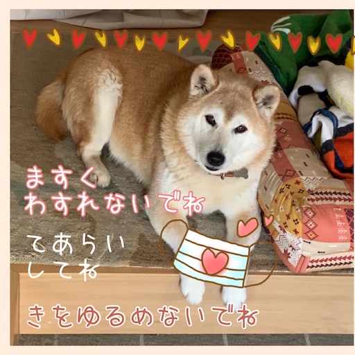 f:id:marishiba:20200510224023j:image f:id:marishiba:20200510224023j:image