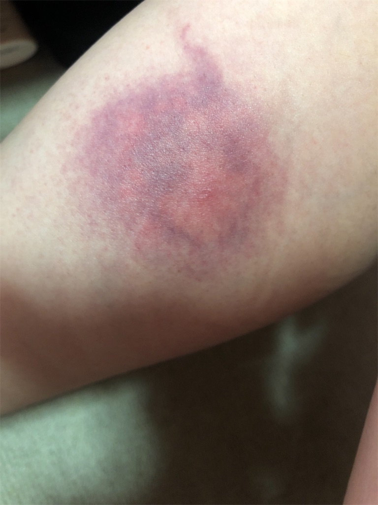 f:id:maritantan:20210919150717j:image