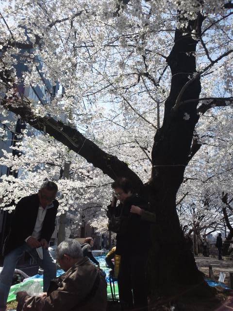 f:id:mariyon:20120408112226j:image:w500