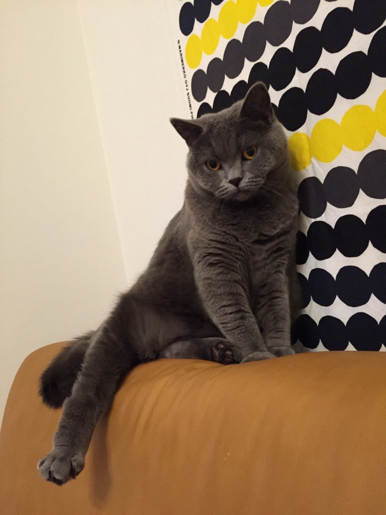 f:id:mariyukiko:20170515173044j:plain