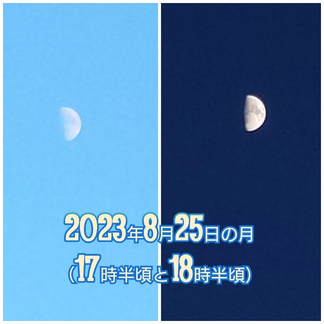 f:id:marjarakuro:20230826095246j:image f:id:marjarakuro:20230826095246j:image