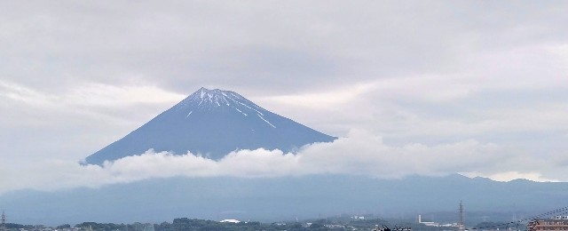 f:id:marjinobu:20240609093013j:image