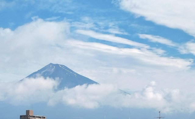 f:id:marjinobu:20240624085412j:image