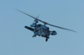 [HAUTE VOLTIGE 2008]JASDF UH-60J