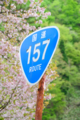 [国道157号線温見峠]