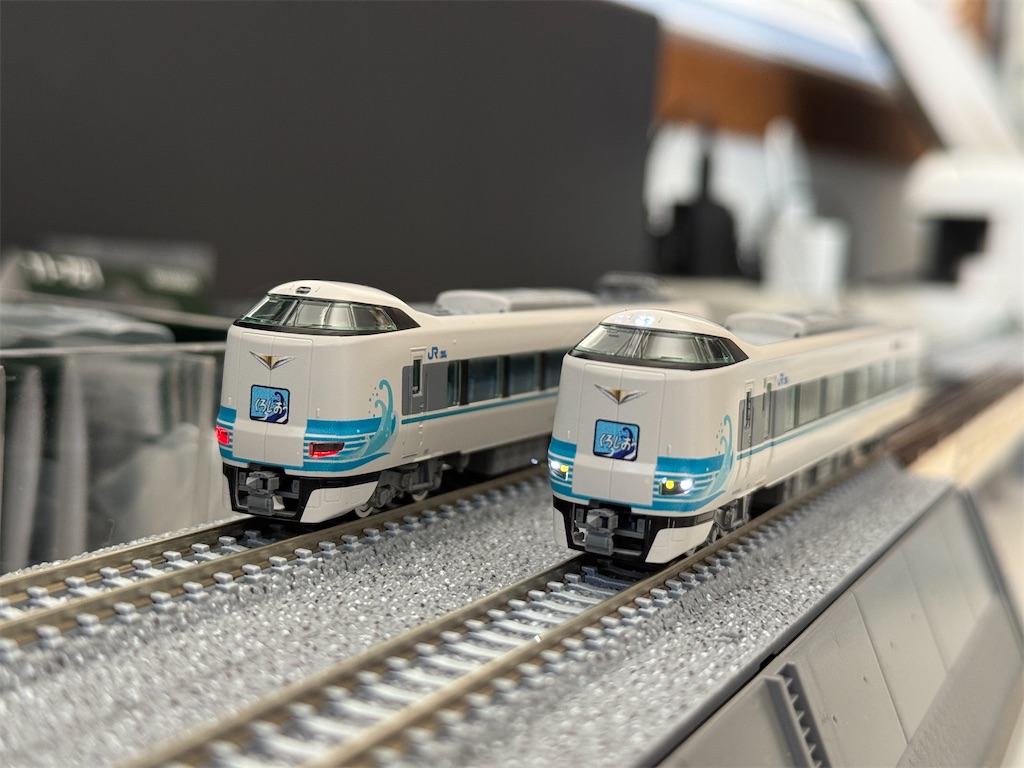 やっと入線させました - レインボーブログ