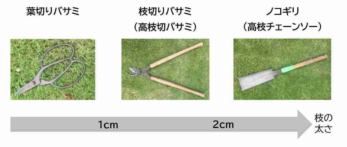 植木の手入れ・剪定に用意する道具3種