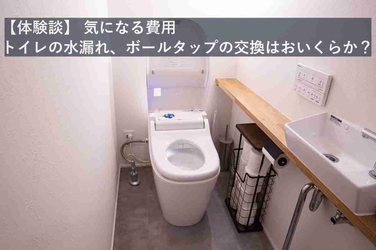 【体験談】気になる費用。トイレの水漏れ、ボールタップの交換はおいくらか？