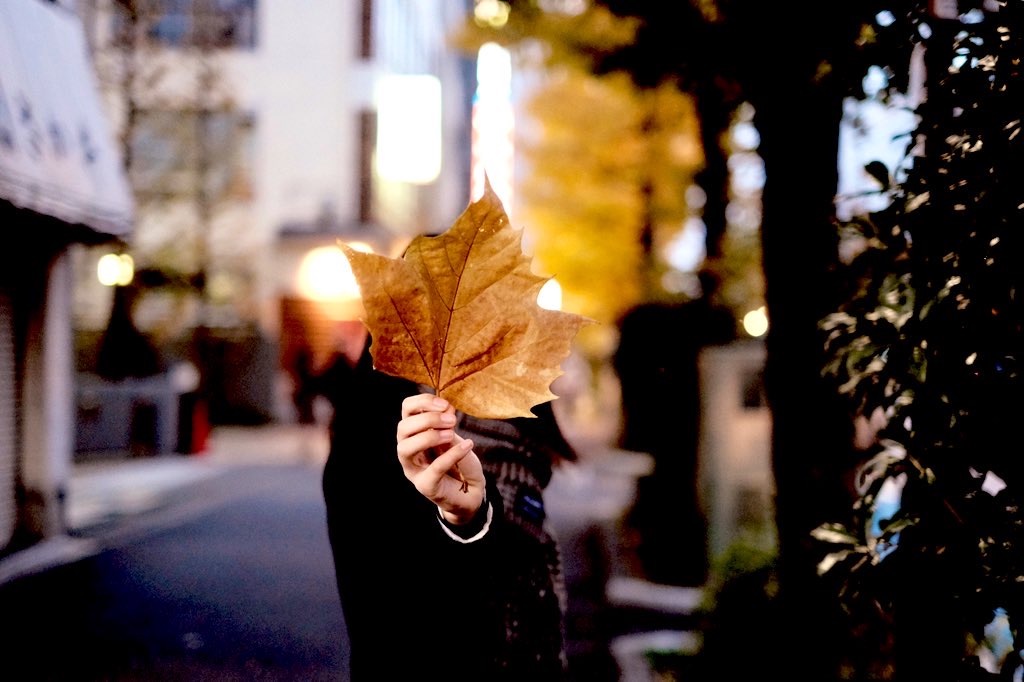 f:id:markskyis10:20201215123422j:image f:id:markskyis10:20201215123422j:image