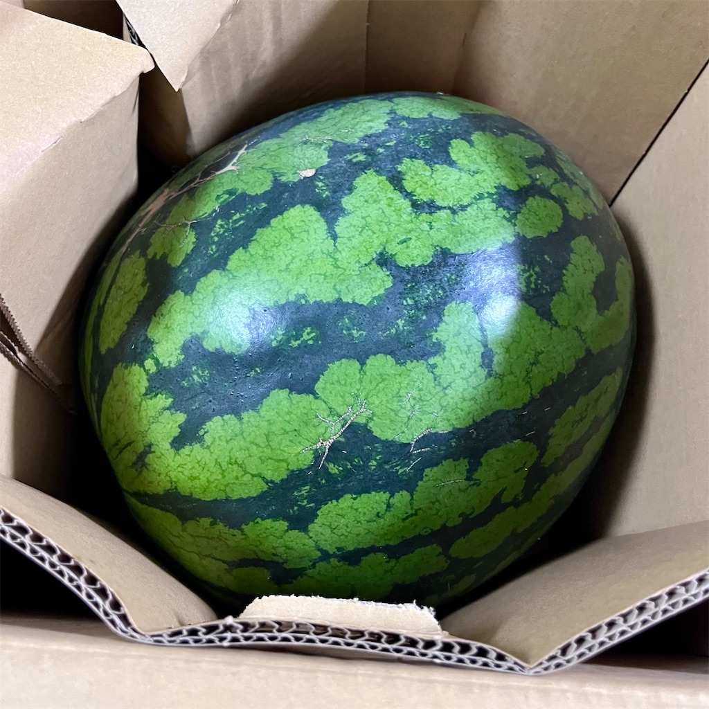 f:id:marlrau:20240728162126j:image