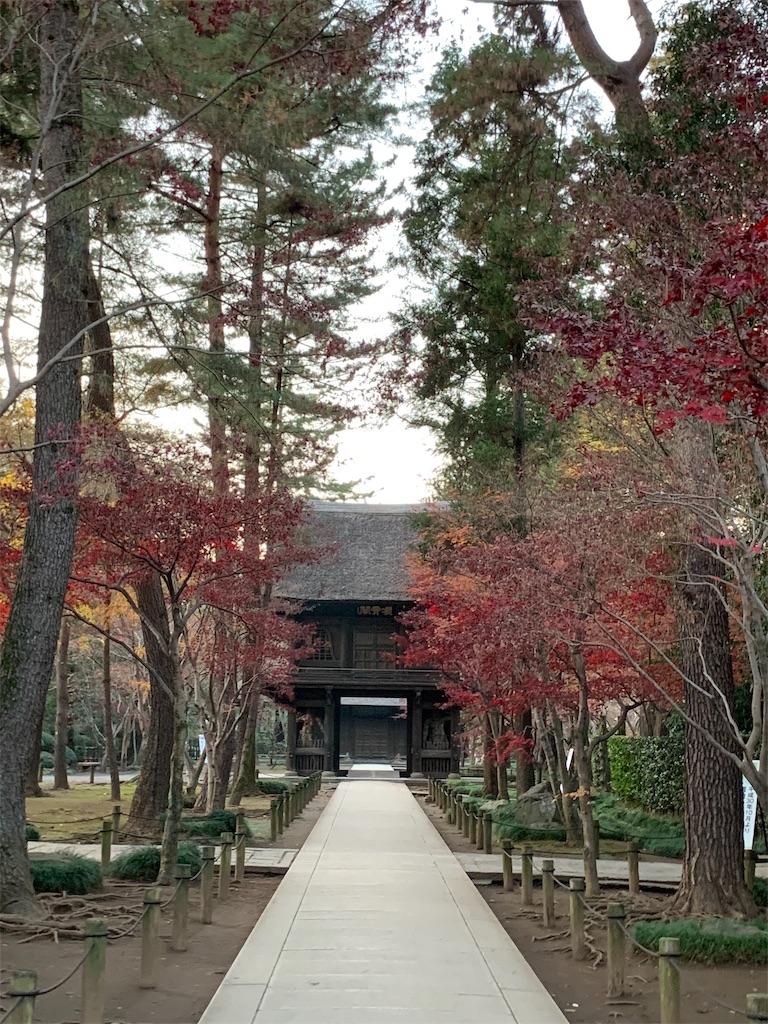 f:id:marmaladeisako:20191215094309j:image f:id:marmaladeisako:20191215094309j:image
