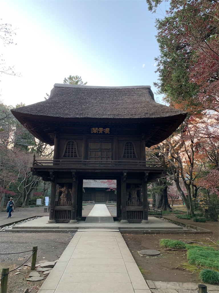 f:id:marmaladeisako:20191215094313j:image f:id:marmaladeisako:20191215094313j:image