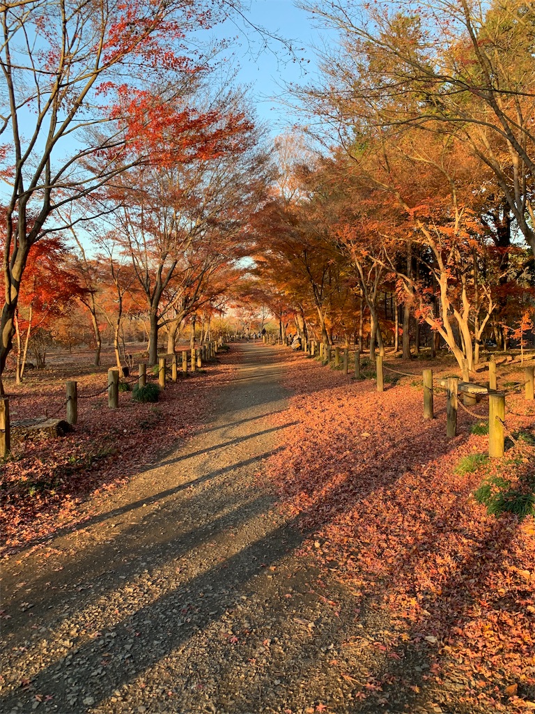 f:id:marmaladeisako:20191215094744j:image f:id:marmaladeisako:20191215094744j:image