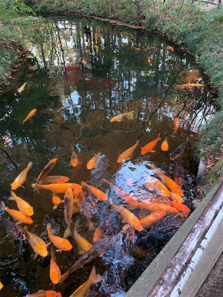 f:id:marmaladeisako:20191215094755j:image f:id:marmaladeisako:20191215094755j:image
