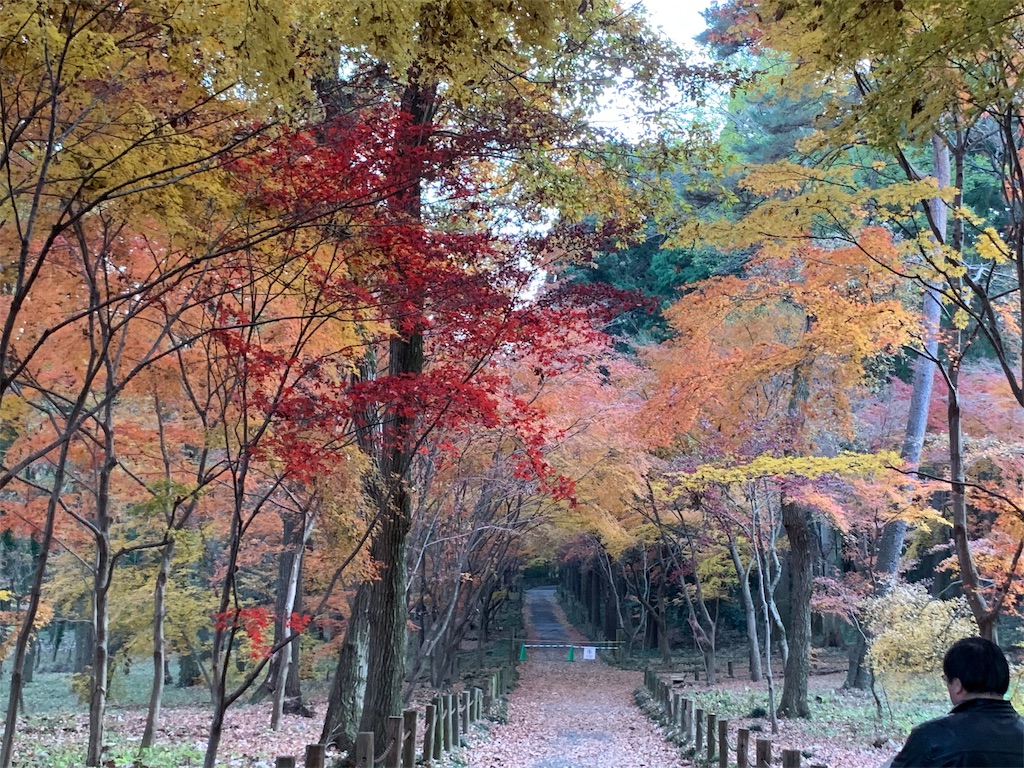 f:id:marmaladeisako:20191215094820j:image f:id:marmaladeisako:20191215094820j:image