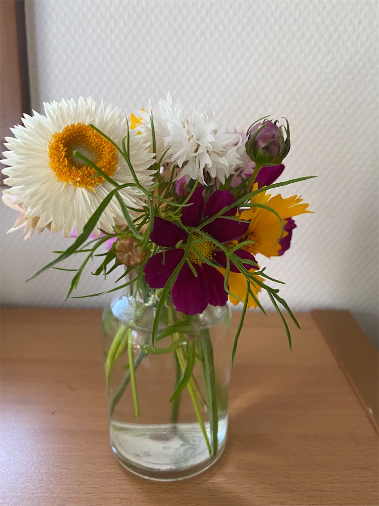 f:id:maro4:20220605174330j:image f:id:maro4:20220605174330j:image