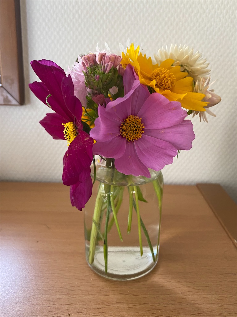 f:id:maro4:20220605174333j:image f:id:maro4:20220605174333j:image