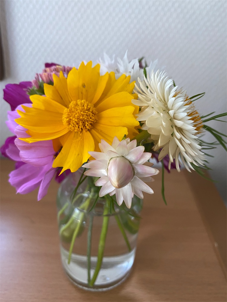 f:id:maro4:20220605174336j:image f:id:maro4:20220605174336j:image