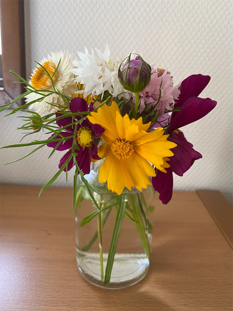 f:id:maro4:20220605174434j:image f:id:maro4:20220605174434j:image